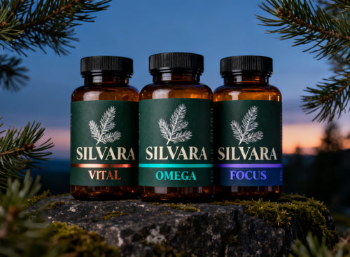 Moški sistem 45+ — VITAL + OMEGA + FOCUS
